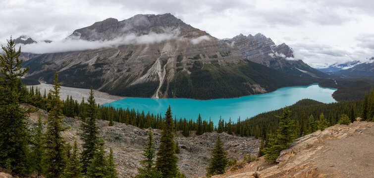 Turquoise Mountain Lake in the Canadian Rockies Surrounded by Pi