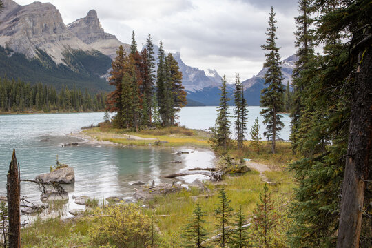 Remote Mountain Lake Island With Pine Trees and Rocky Shoreline