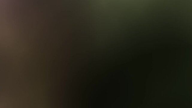Abstract gradient background. Blurred texture in dark olive green and brown hues with soft light. Smooth digital transition. Subtle lines. Graphic backdrop. Design element.