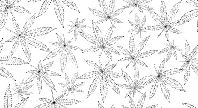 Seamless pattern of hand drawn cannabis leaves in black line art on a clean white background, versatile botanical design for textile or paper.