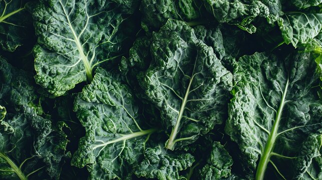 Vibrant Collard Greens with Crisp, Curled Leaves Showcasing Their Nutritional Value and Freshness