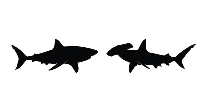 two shark silhouettes facing each other silhouette high quality professional