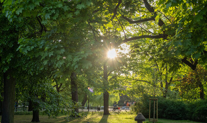 Golden sunlight filters through lush green maple tree leaves in a quiet public park. The scene includes park benches, people in the distance, and a lamppost under a bright and clear afternoon clouds. © olga