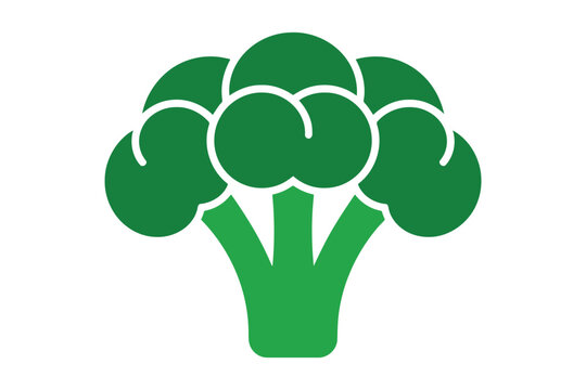 Green broccoli head with detailed florets and stem vegetable