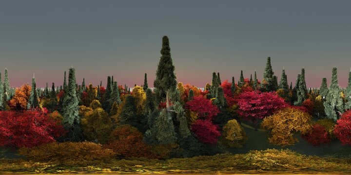 HDRI, environment map , Round panorama, spherical panorama, equidistant projection, panorama 360, Forest and swamp, 3d rendering