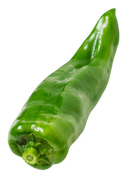 万願寺とうがらし 1個の切り抜き。新鮮な甘長唐辛子の斜め俯瞰カット (Manganji green pepper isolated. Fresh Japanese sweet chili pepper, high angle view)