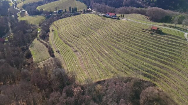 Jeruzalem, Slovenia, hillside vineyards with neat rows of grapevines stretch across terraced fields and rolling green hills in the Styria wine region, captured from a high aerial perspective.