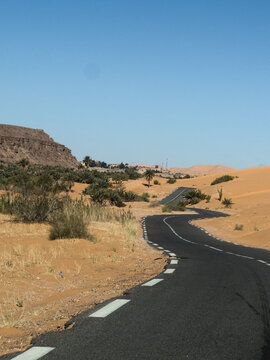 Winding desert road through Saharan oasis landscape with sand dunes and palm trees, Algeria