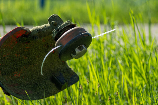 Garden trimmer maintenance and grass cutting process in the backyard. A series of photos showing a brushcutter or string trimmer in action and being serviced. 