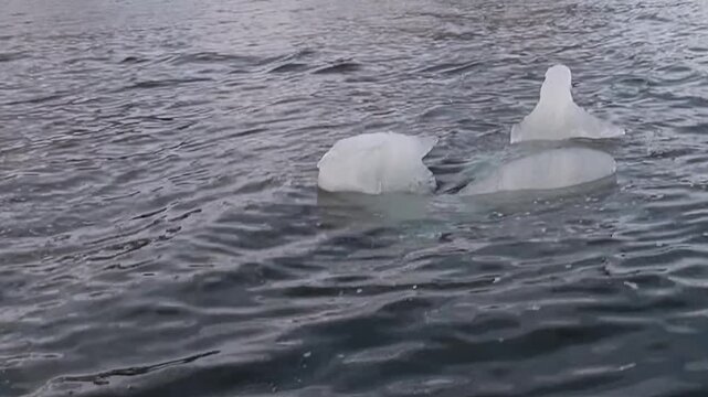 Crystalline ice fragments gracefully drift upon the vast, deep, and frigid waters of the Arctic Ocean. This stunning, ethereal display unfolds during a challenging polar expedition.