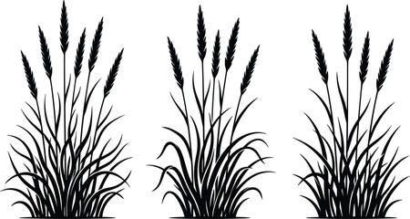 Decorative Grass Silhouette Vector Illustration Collection Featuring Wild Meadow Plants, Reed Leaves, and Natural Botanical Elements Isolated for Landscape Design Projects © MstSuborna