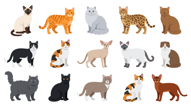 Cats Collection Diverse Feline Breeds Vector Illustration for Pet Lovers