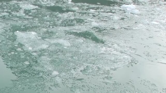 Gaze upon the serene Arctic expanse where crystalline glacier fragments gently float. Pale blue ice drifts on calm, reflective waters, showcasing nature's cold, pristine beauty.
