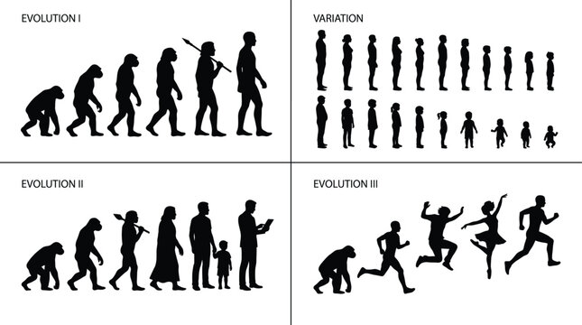 Human Evolution Silhouette Set Showing Primitive Ancestors Modern People Growth Variations and Active Lifestyle Vector Collection