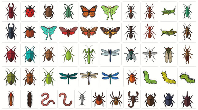 Various Insect Vector Art Collection Presents Diversity of Wildlife