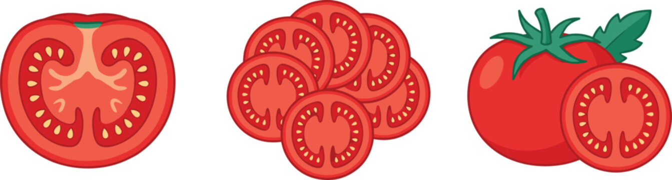 Fresh Tomato Vector Illustration Collection Featuring Half Cut Tomatoes, Stacked Slices, and Organic Vegetable Elements for Healthy Food Design Projects