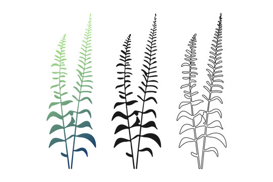 Elegant feather-like fern fronds resembling aquatic elodea in emerald-to-indigo gradient, solid black, and linear styles for sustainable branding, skincare packaging, and nature-inspired wallpaper.