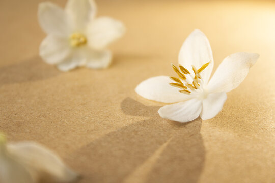 It is a wooden board background and Styrax japonica flowers.
