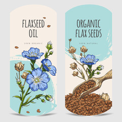Obraz premium Flax seeds oil hand drawn vector label design, flax flowers with seeds in wooden scoop sketch, Linen organic superfood