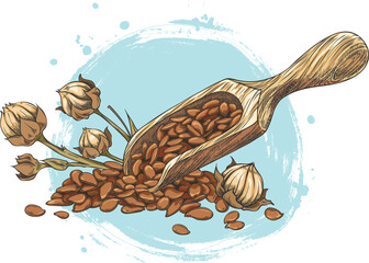 Obraz premium Flax seed pile in wooden scoop with stems vector sketch, superfood, hand drawn Linen cereal crops seeds grains harvest