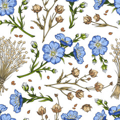 Obraz premium Flax blue flowers with dry seeds on stem sketch, vector hand drawn seamless pattern, superfood foliage medicinal herb