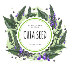 Obraz premium Chia plant with blue flowers and seeds sketch, vector hand drawn round label design, Salvia hispanica, superfood