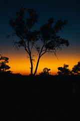 Fototapeta premium Australian outback sunset with old windmill silhouette casting an orange glow