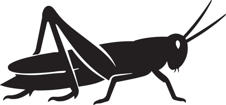 Grasshopper Vector Silhouette.