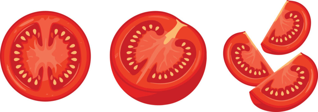 Tomato Slice Vector Illustration Set with Fresh Red Cut Pieces and Organic Vegetable Sections for Healthy Food and Cooking Designs