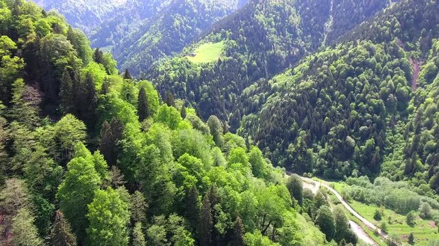 Alpine chalet Alps lush meadow beneath mountains fairytale retreat highland weather detail. Charming cabin rests beside forested valley peaceful upland dwelling pastoral escape.