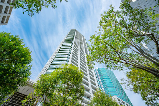 マンション　タワーマンション　新緑　青空