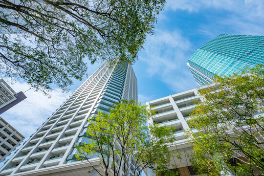 マンション　タワーマンション　新緑　青空
