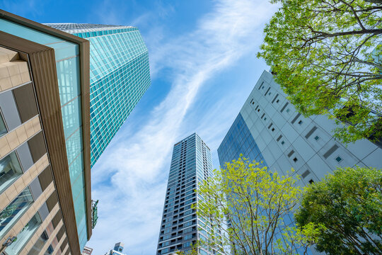 マンション　タワーマンション　新緑　青空