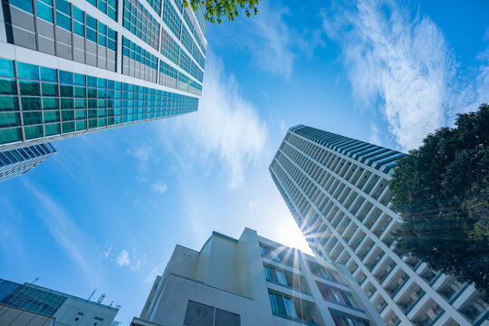 マンション　タワーマンション　新緑　青空