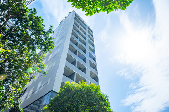 マンション　タワーマンション　新緑　青空