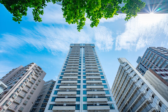 マンション　タワーマンション　新緑　青空