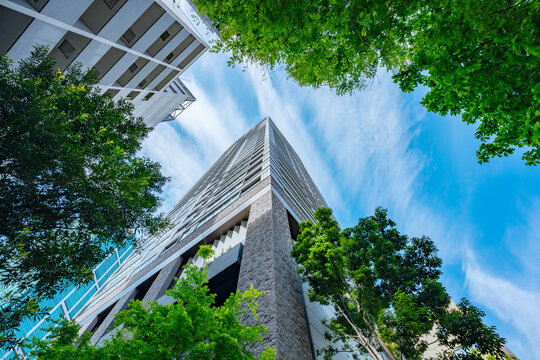 マンション　タワーマンション　新緑　青空