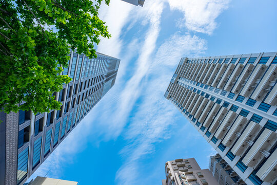 マンション　タワーマンション　新緑　青空
