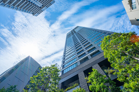 マンション　タワーマンション　新緑　青空
