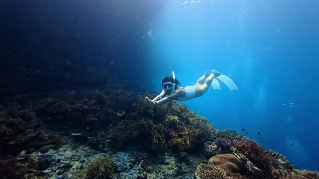 Young woman in swimsuit snorkeling in transparent tropical sea above coral reef,Summer travel concept	