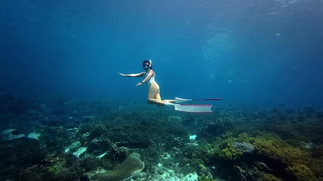 Young woman in swimsuit snorkeling in transparent tropical sea above coral reef,Summer travel concept	