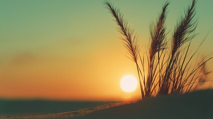 Naklejka premium Tall grasses silhouetted against the warm glow of a setting sun above a horizon line.