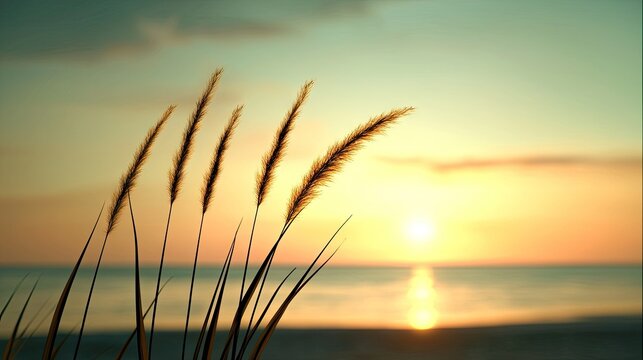Tall grasses silhouette against the soft glow of a seaside sunset