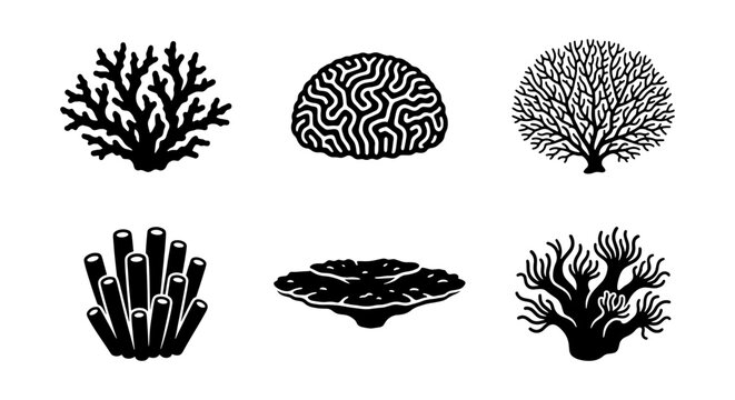 Coral Icons Set, Marine Life Vector Graphics, Underwater Ecosystem Silhouettes, Ocean Flora Illustrations