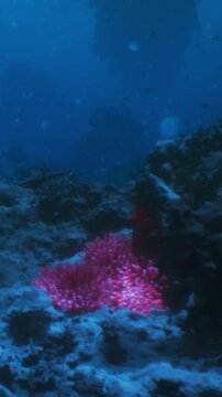 Bright pink coral grows on the ocean floor surrounded by other marine life. Fish swim around the coral in a clear blue sea. Sunlight filters into the water, illuminating the scene.
