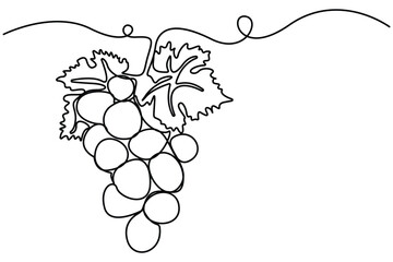 Obraz premium Grapes continuous one line drawing minimalist fruit outline vector illustration.Grapes minimalist continuous line drawing decorative fruit outline vector.botanical fruit,elegant fruit sketch.