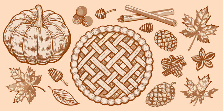 Autumn fall collection with pumpkin pie leaves and pine cones illustration