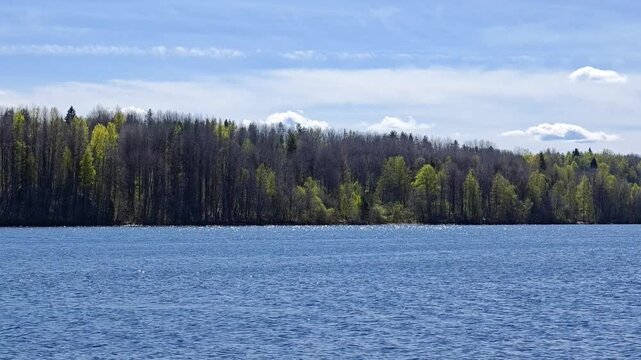 Wide view of a blue river flowing through a dense forest landscape, with tall trees on the opposite bank under a partly cloudy sky. Nature landscape, water view, summer scenery, peaceful wilderness.