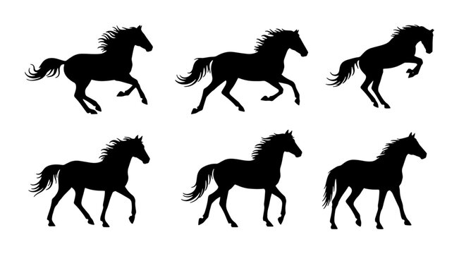 Six Silhouette Horse Poses Vector Set, Galloping and Standing Equine Graphics, Black Animal Icons for Equestrian Design