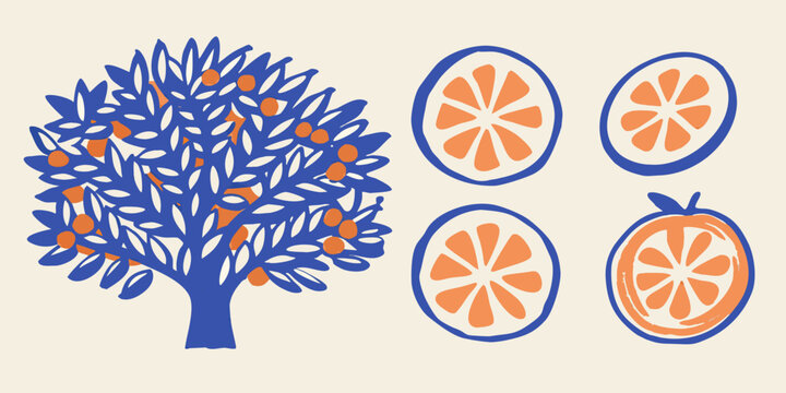 Orange tree with fruit and sliced oranges vector illustration